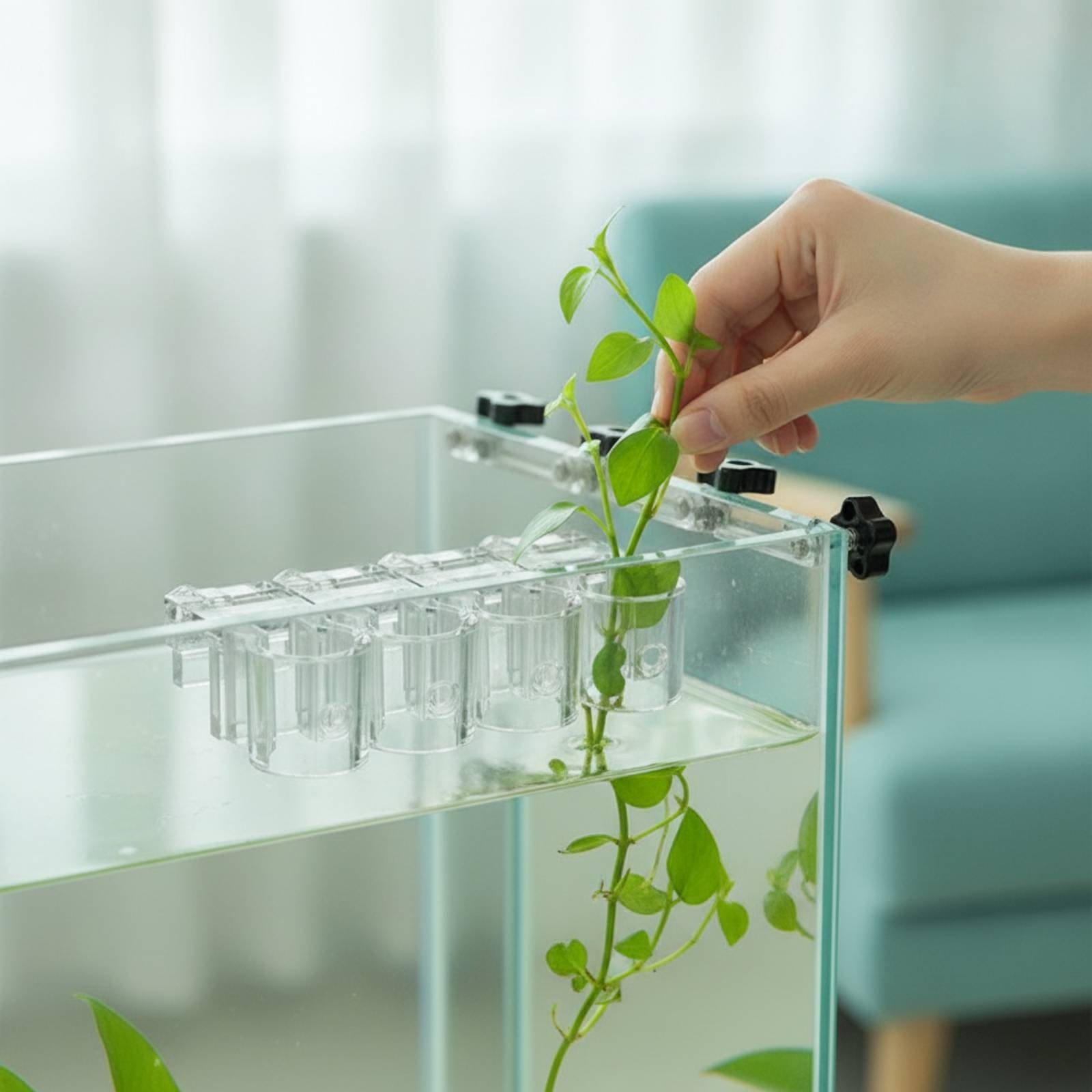 Aquarium Plants - 6 Peças de Suporte Hidropônico Transparente
