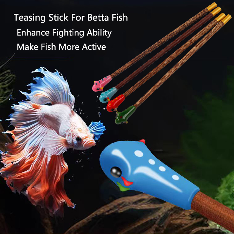 Betta Fish Tank - Varinha de treinamento betta para aquário,