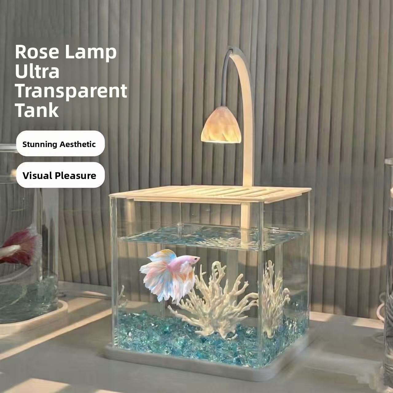 Aquarium Fish Betta - Aquário de Acrílico Transparente para Peixe