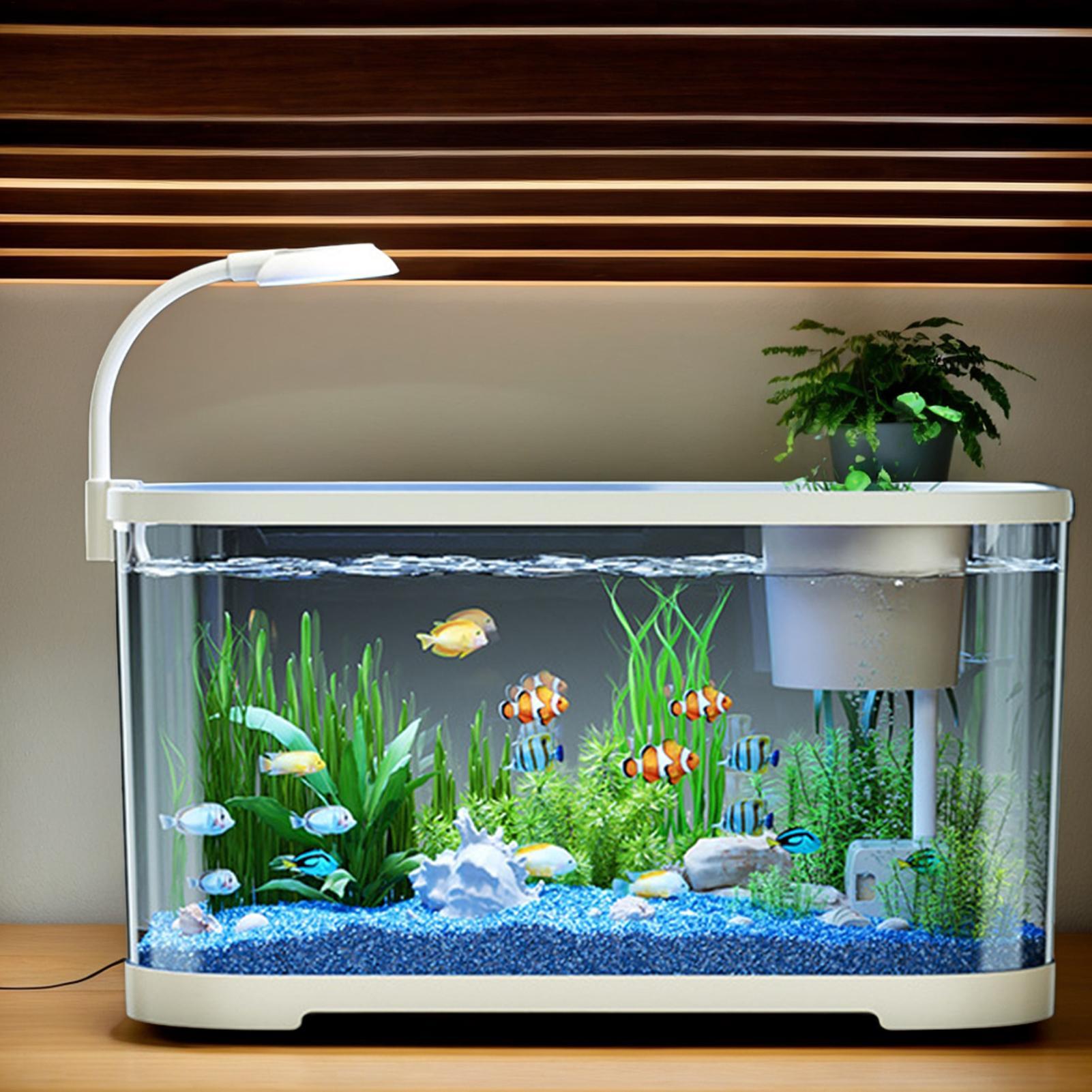 Betta Fish Tank - Kit de aquário starter betta tanque