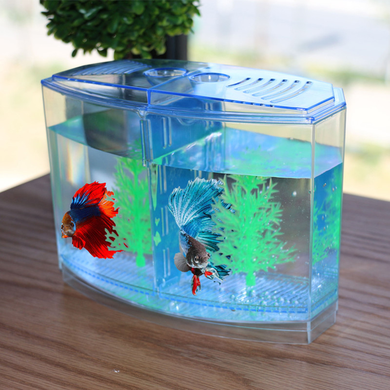 Aquarium Fish Keeping - Novo e engraçado brinquedo criativo caixa