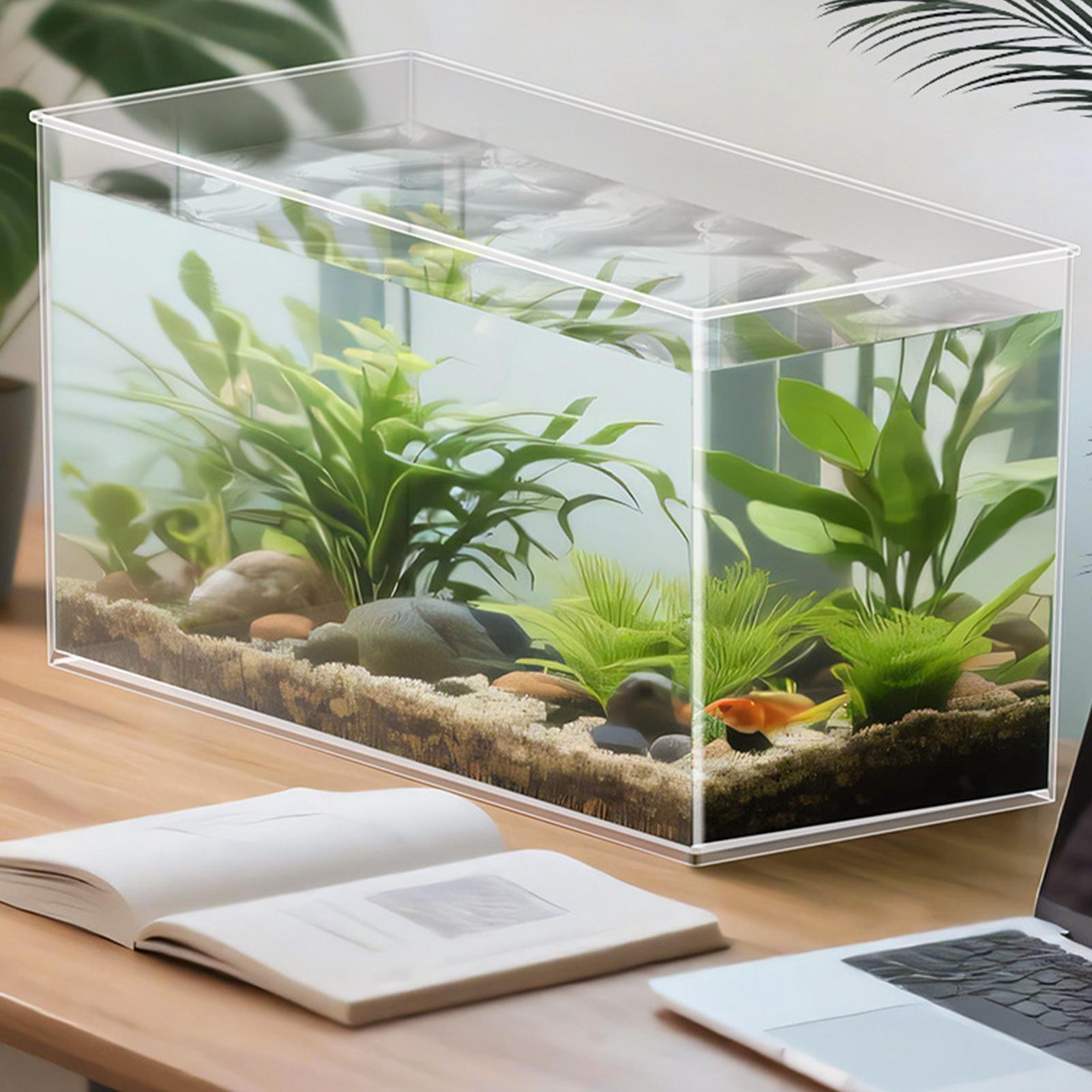 Betta Fish Tank - Aquário Pequeno para Bettas, Terrário de