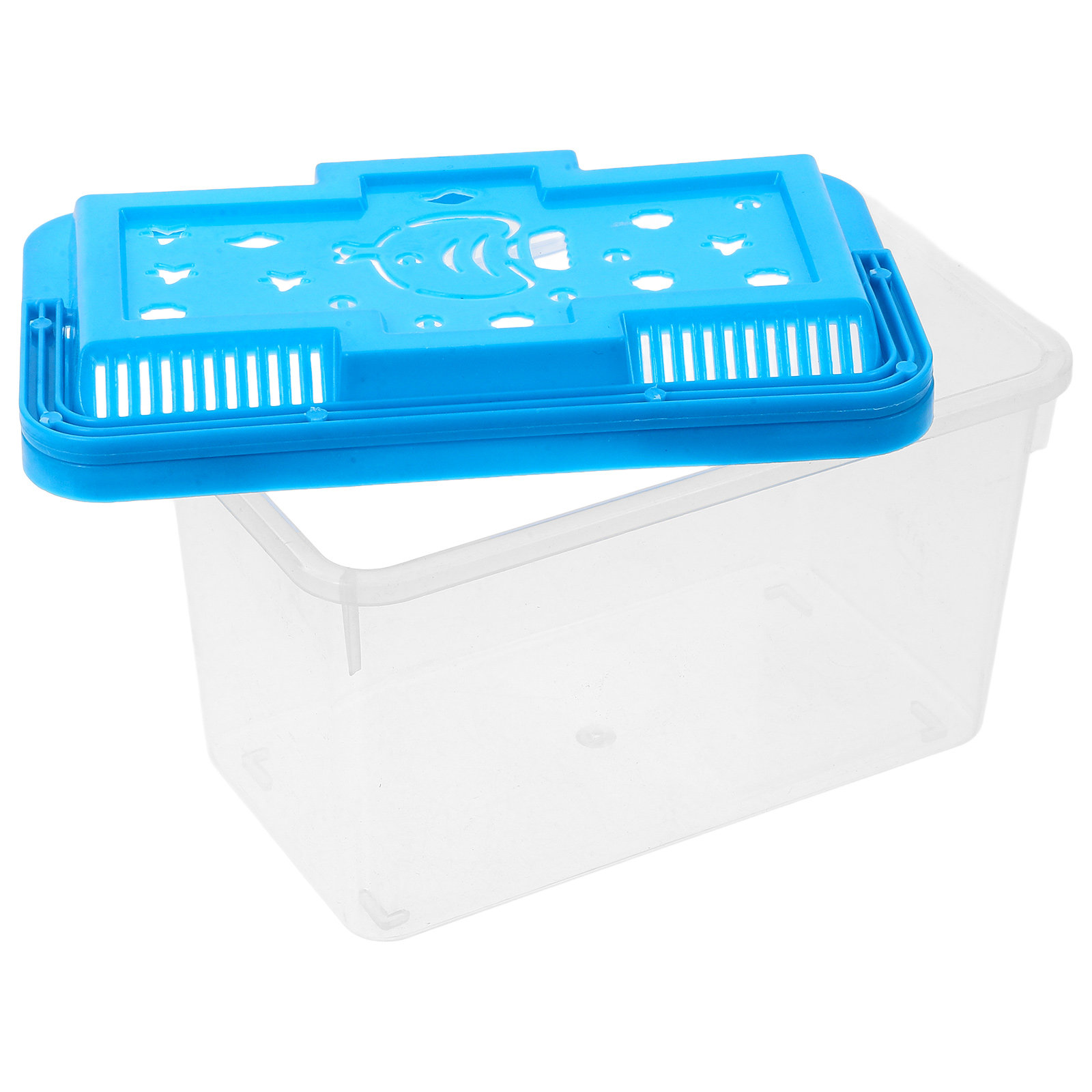 Aquarium Fish Betta - Aquário Transparente para Peixes, Tema Halloween