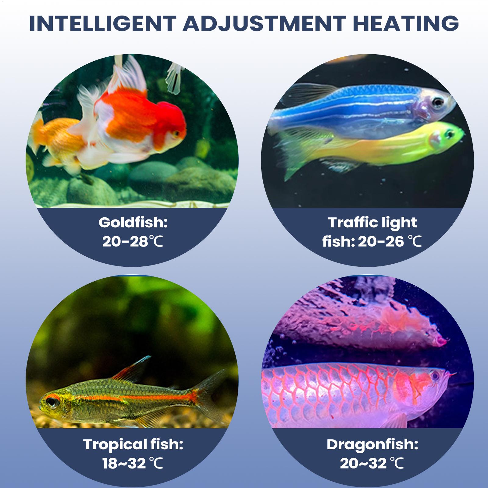 Bomba de ar do aquário portáti - Aquarium Pump avaliação e preço