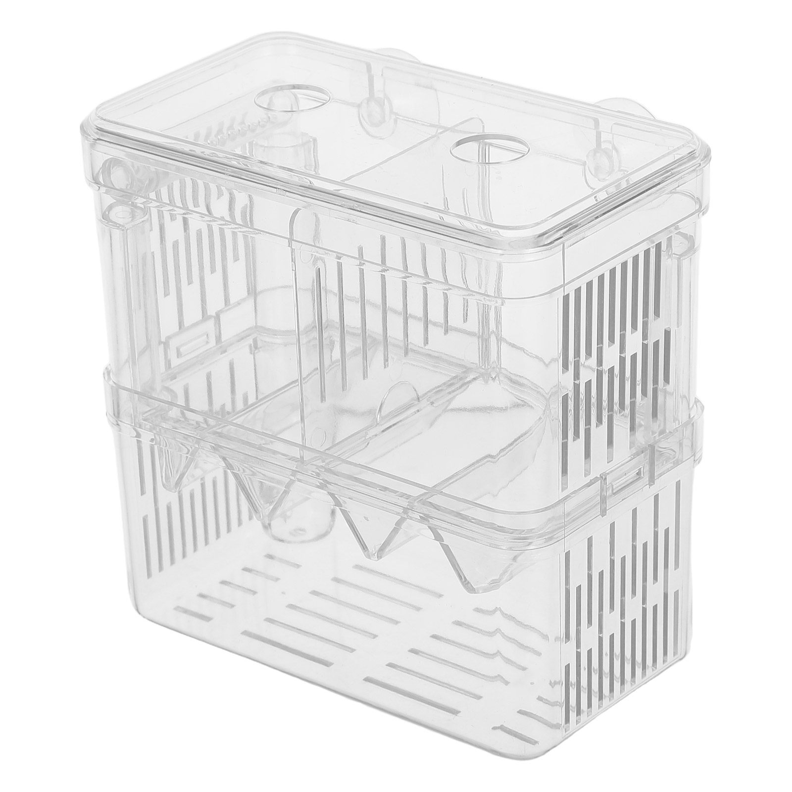 Caixa de reprodução e isolamen - Aquarium Fish Betta avaliação e preço