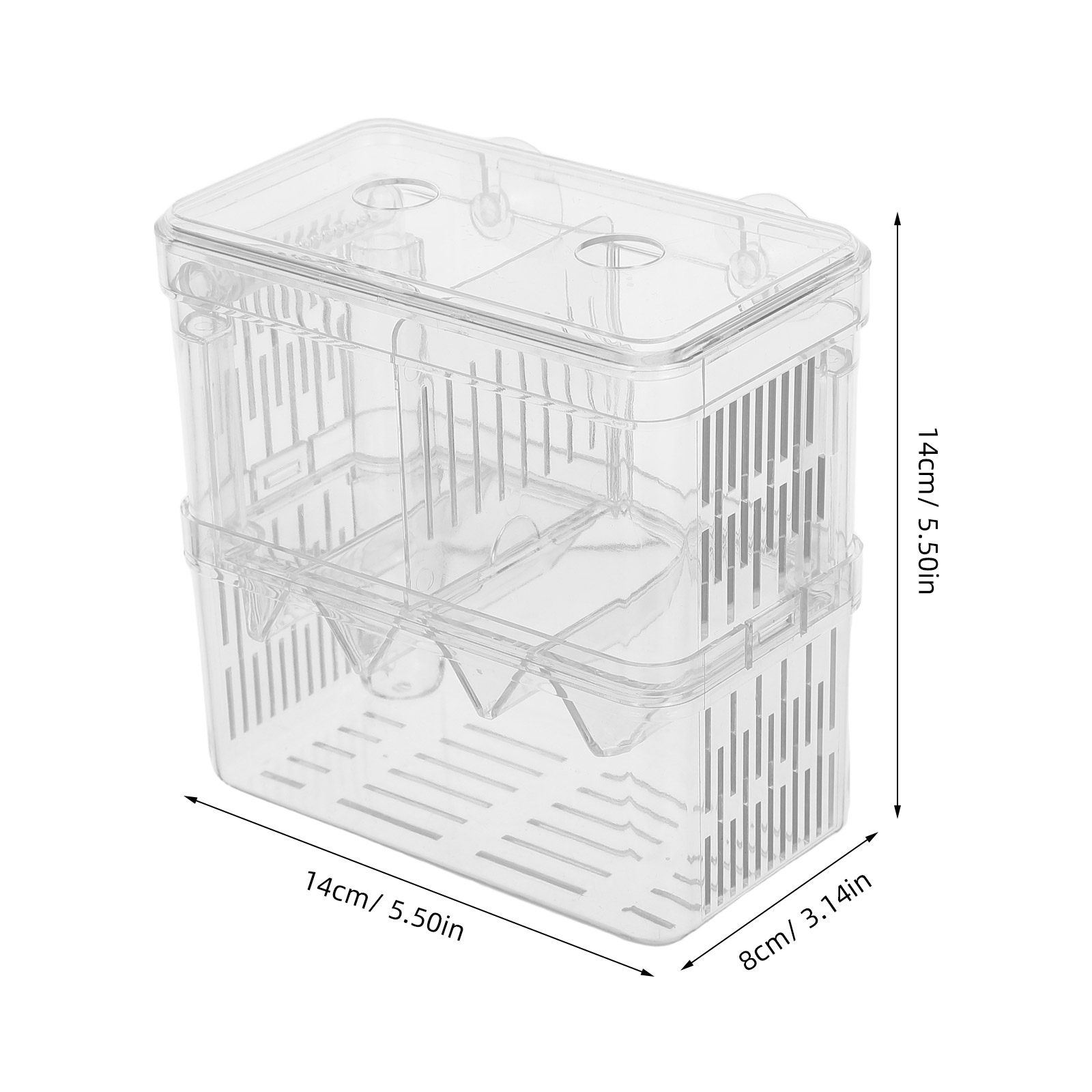 Caixa de reprodução e isolamen - Aquarium Fish Betta avaliação e preço