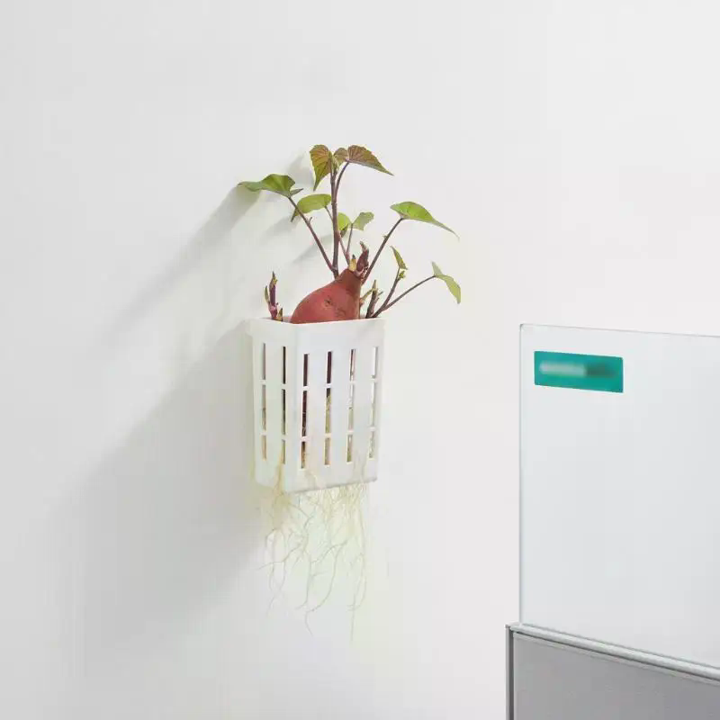 1 Peça Cesto de Suporte Hidrop - Aquarium Plants avaliação e preço