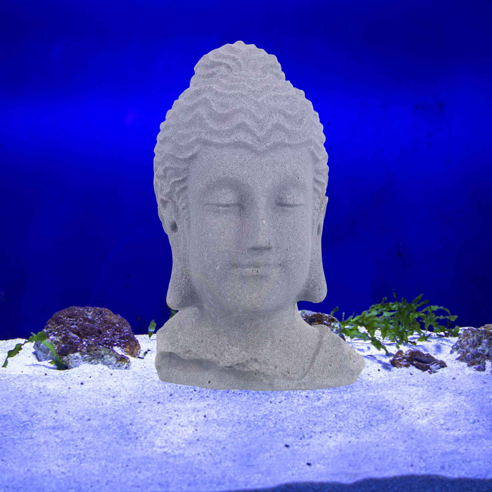 Estátua de cabeça de Buda em m - Fish Aquarium Home avaliação e preço
