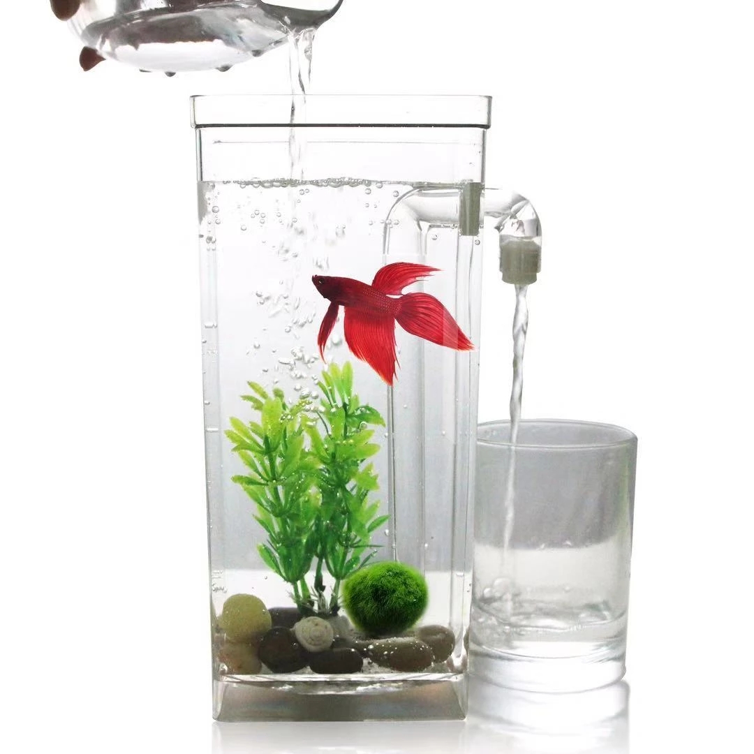 Preguiçoso livre mudança de ág - Aquarium Fish Betta avaliação e preço