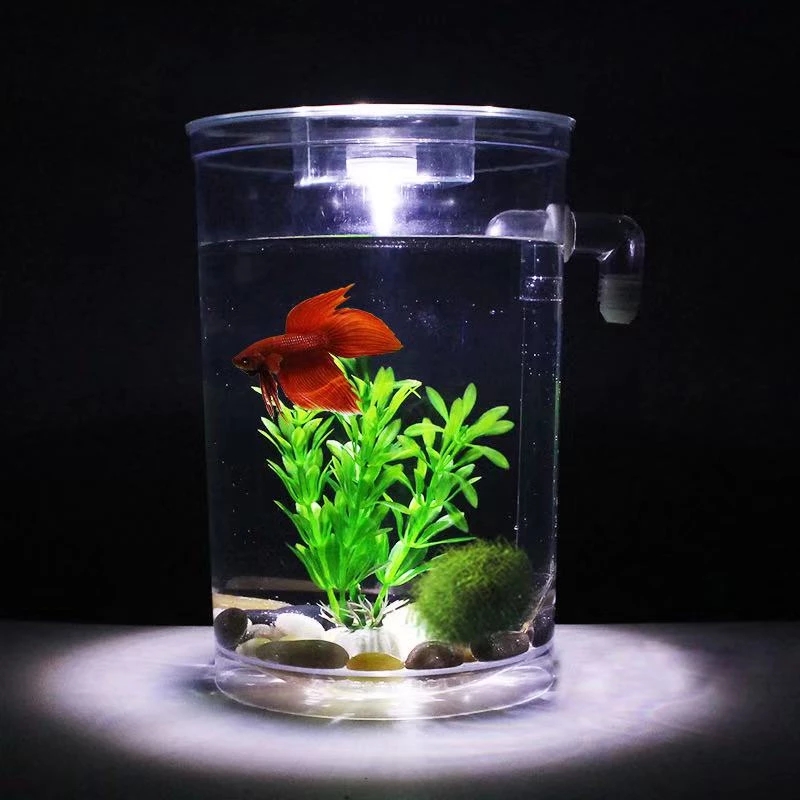 Preguiçoso livre mudança de ág - Aquarium Fish Betta avaliação e preço