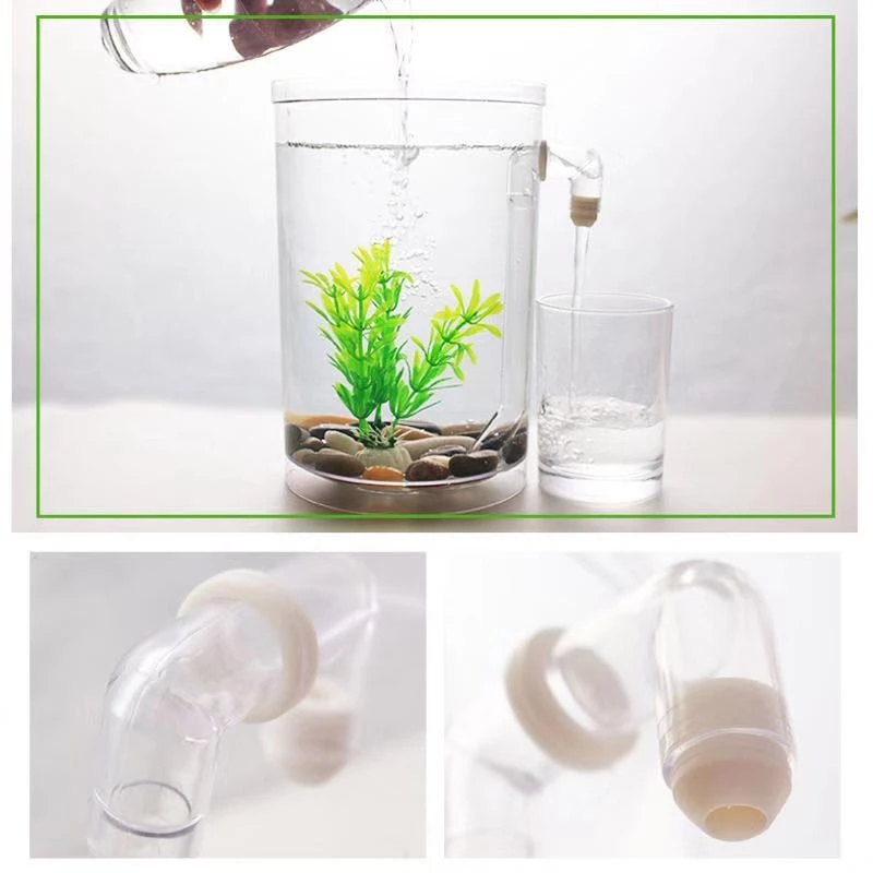 Preguiçoso livre mudança de ág - Aquarium Fish Betta avaliação e preço