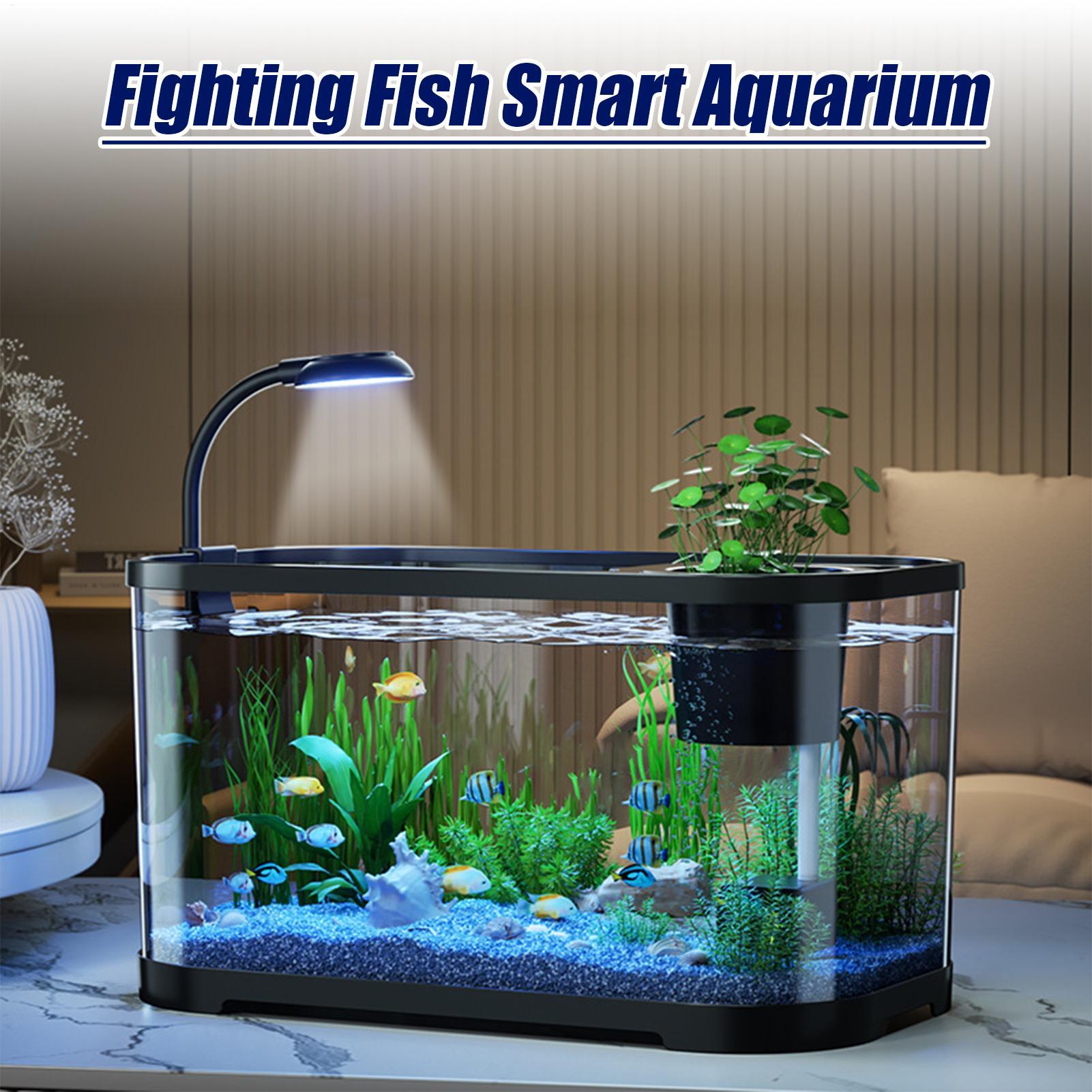 Kit de aquário starter betta t - Betta Fish Tank avaliação e preço