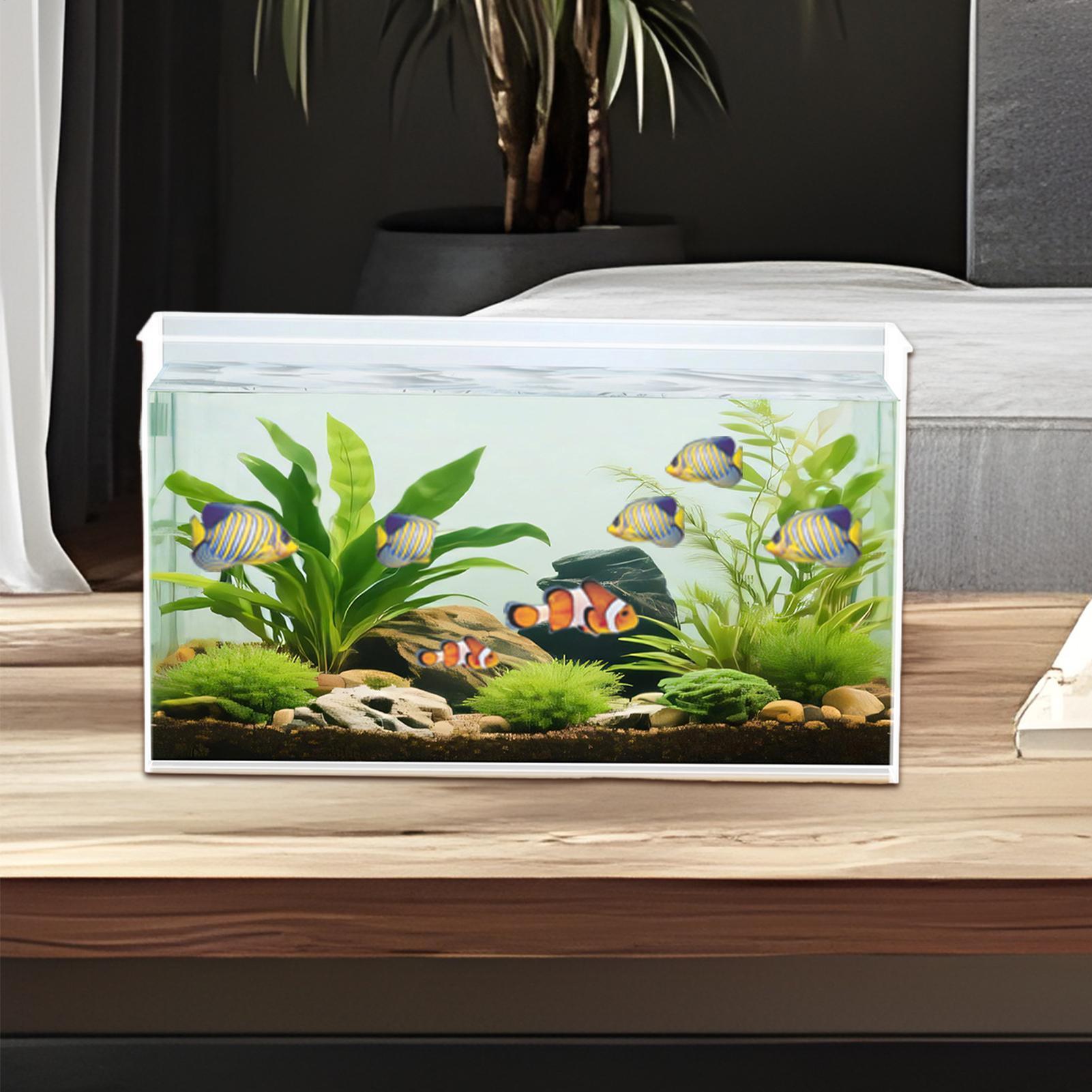 Aquário Pequeno para Bettas, T - Betta Fish Tank avaliação e preço