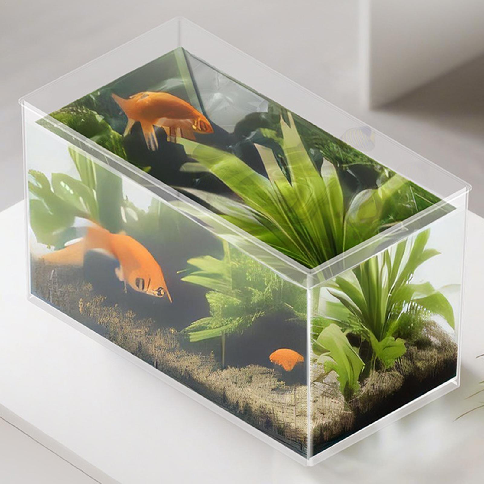 Aquário Pequeno para Bettas, T - Betta Fish Tank avaliação e preço