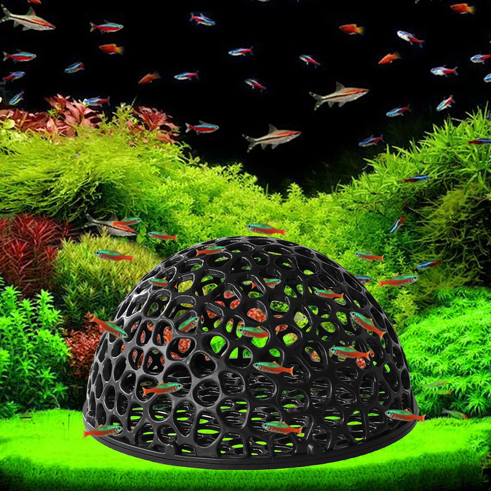 Caverna para camarões de aquár - Betta Fish Tank avaliação e preço