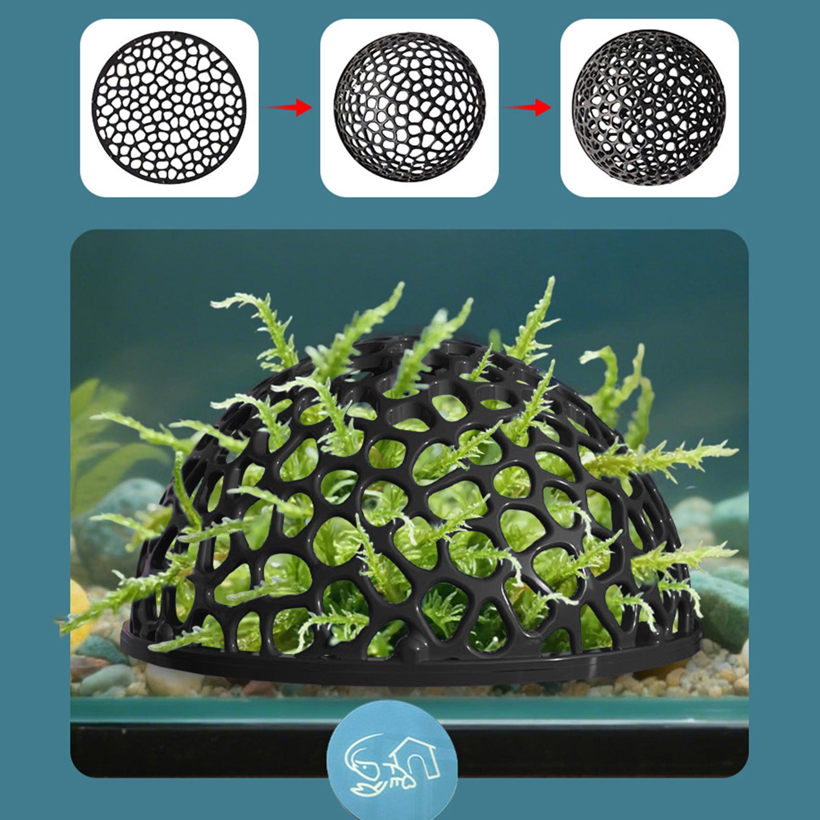 Caverna para camarões de aquár - Betta Fish Tank avaliação e preço