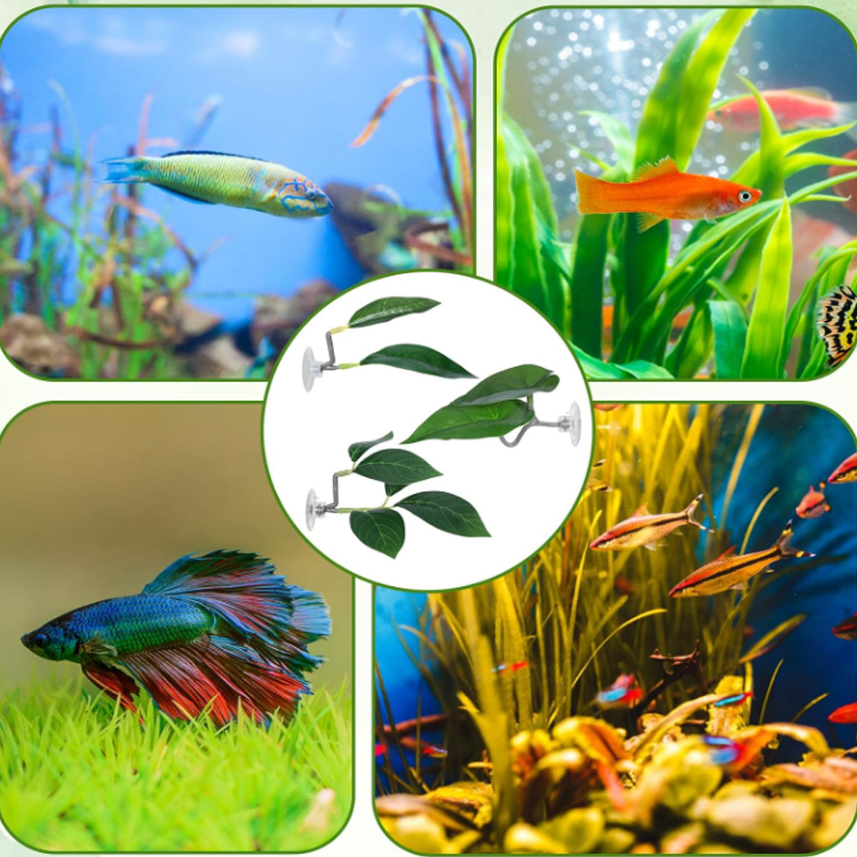 1 Rede de Descanso para Peixe  - Betta Fish Tank avaliação e preço