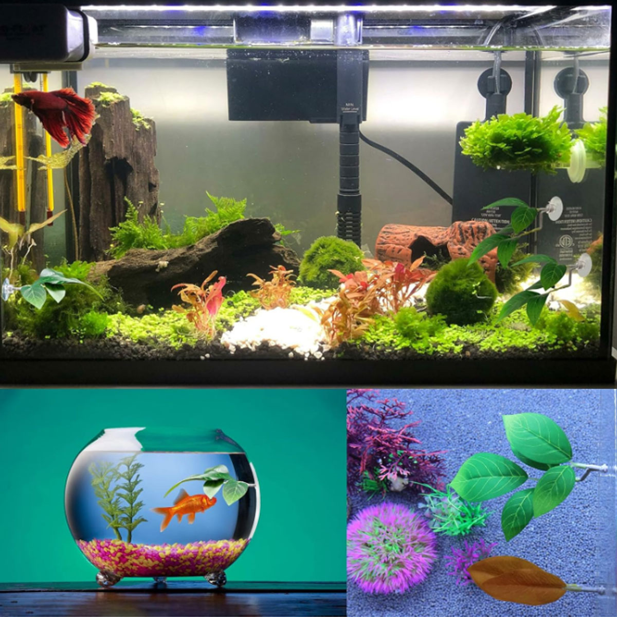 1 Rede de Descanso para Peixe  - Betta Fish Tank avaliação e preço