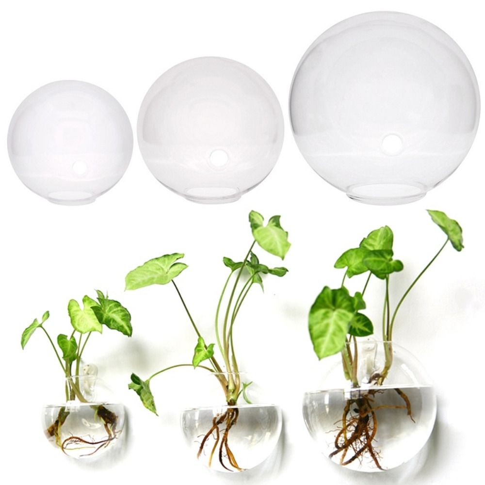 Vaso De Vidro Transparente, Su - Fish Aquarium Home avaliação e preço
