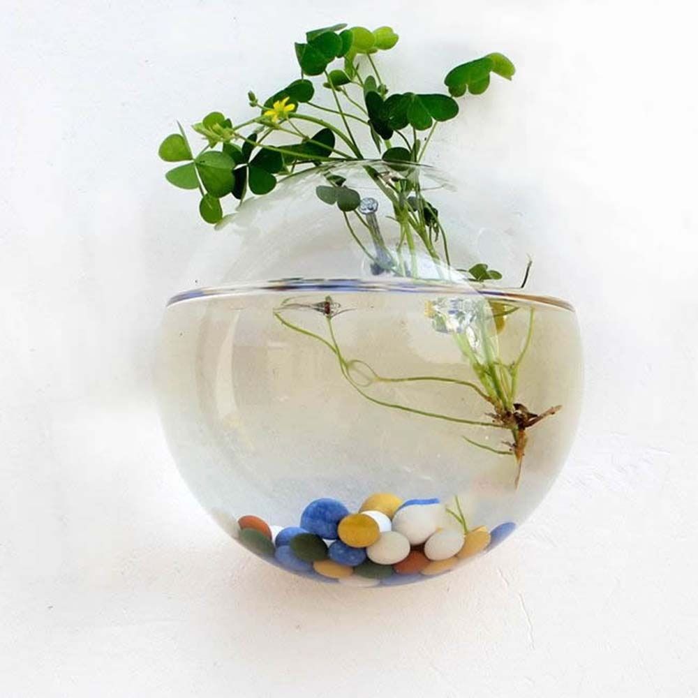 Vaso De Vidro Transparente, Su - Fish Aquarium Home avaliação e preço