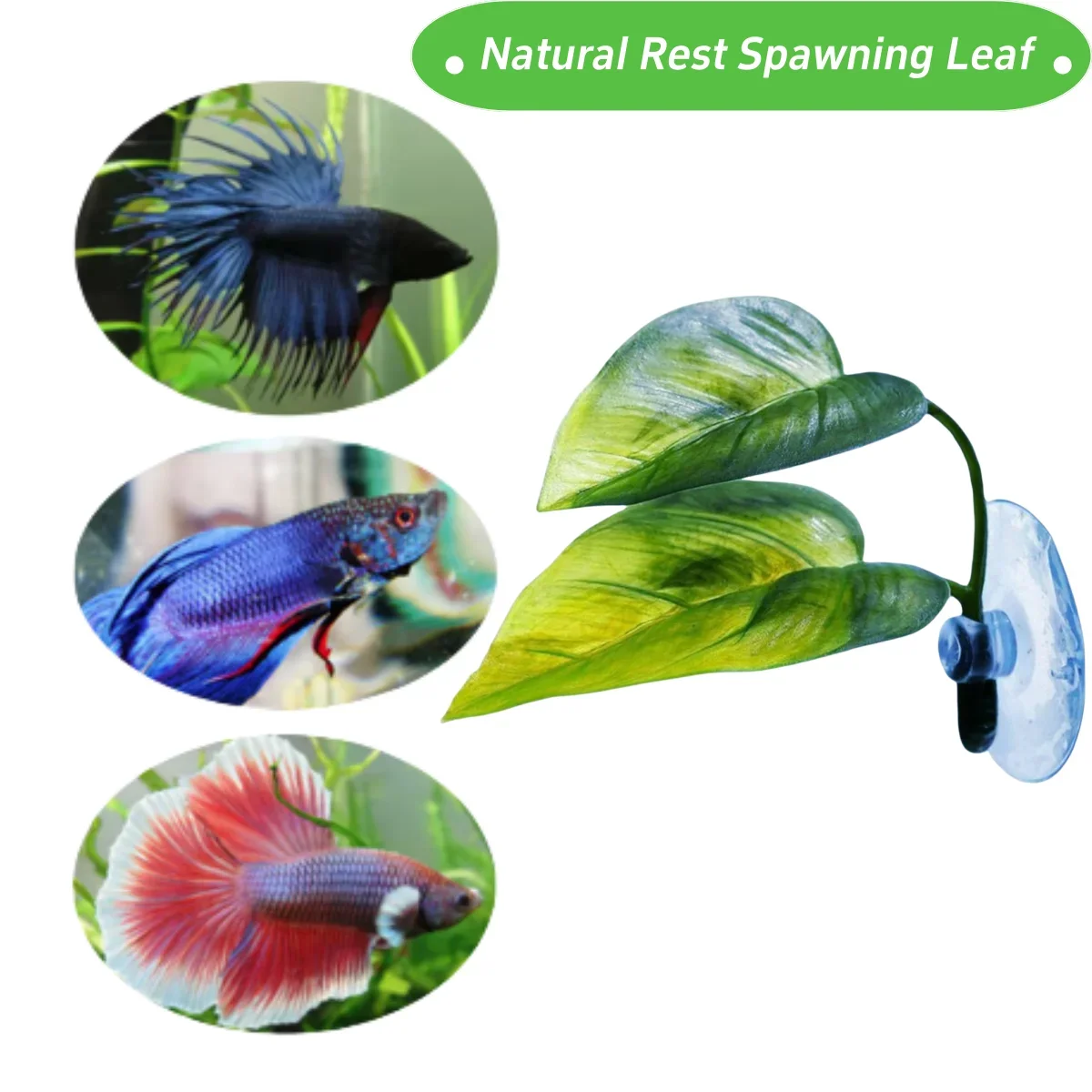 Rede de Folhas para Peixe Bett - Betta Fish Tank avaliação e preço