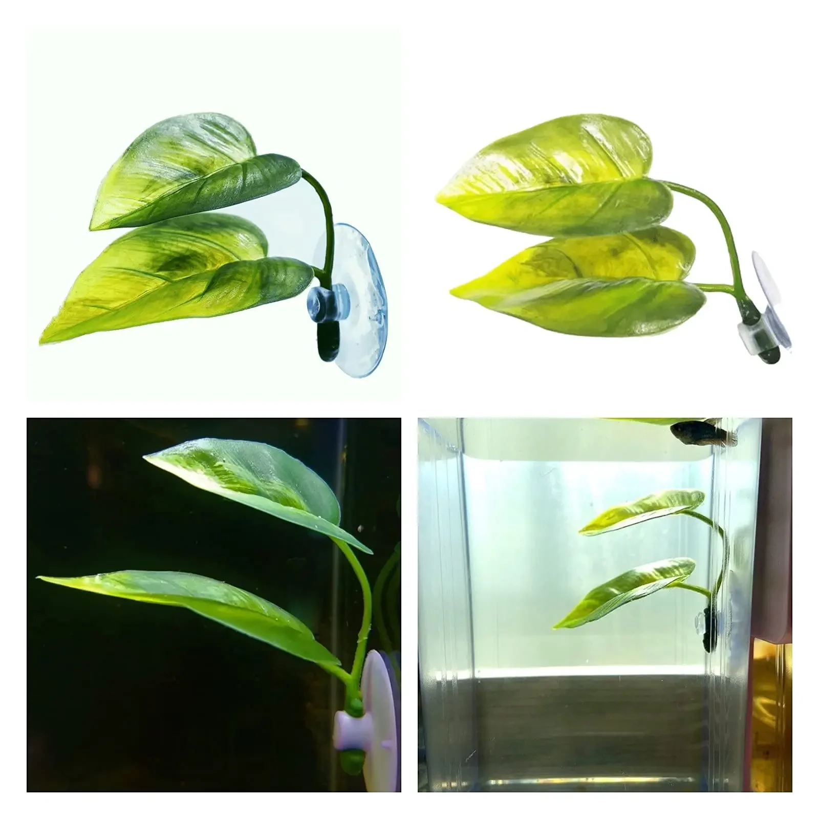 Rede de Folhas para Peixe Bett - Betta Fish Tank avaliação e preço