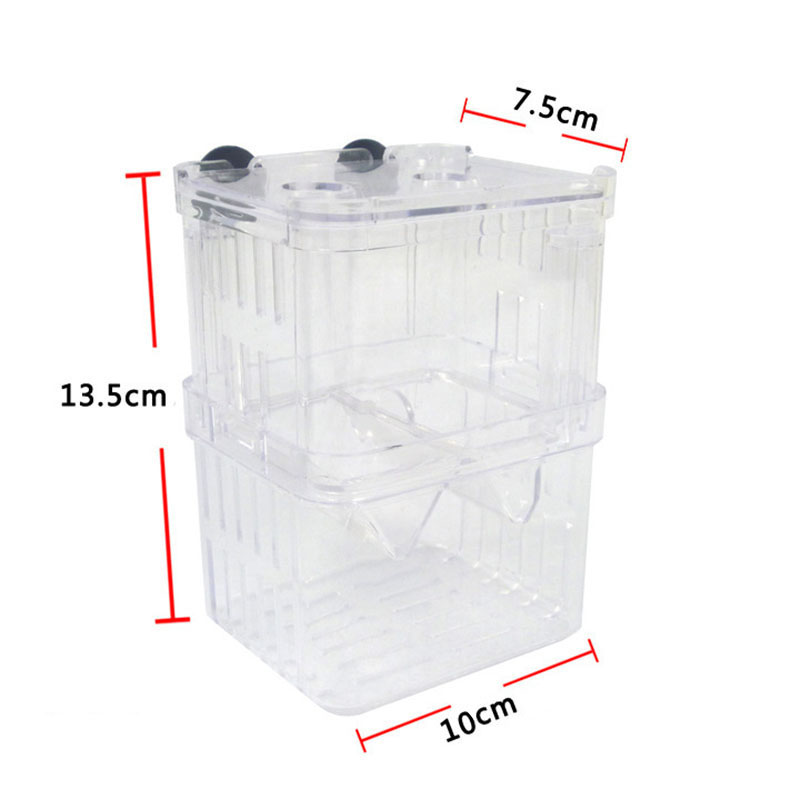 Caixa de isolamento para criaç - Aquarium Fish Betta avaliação e preço