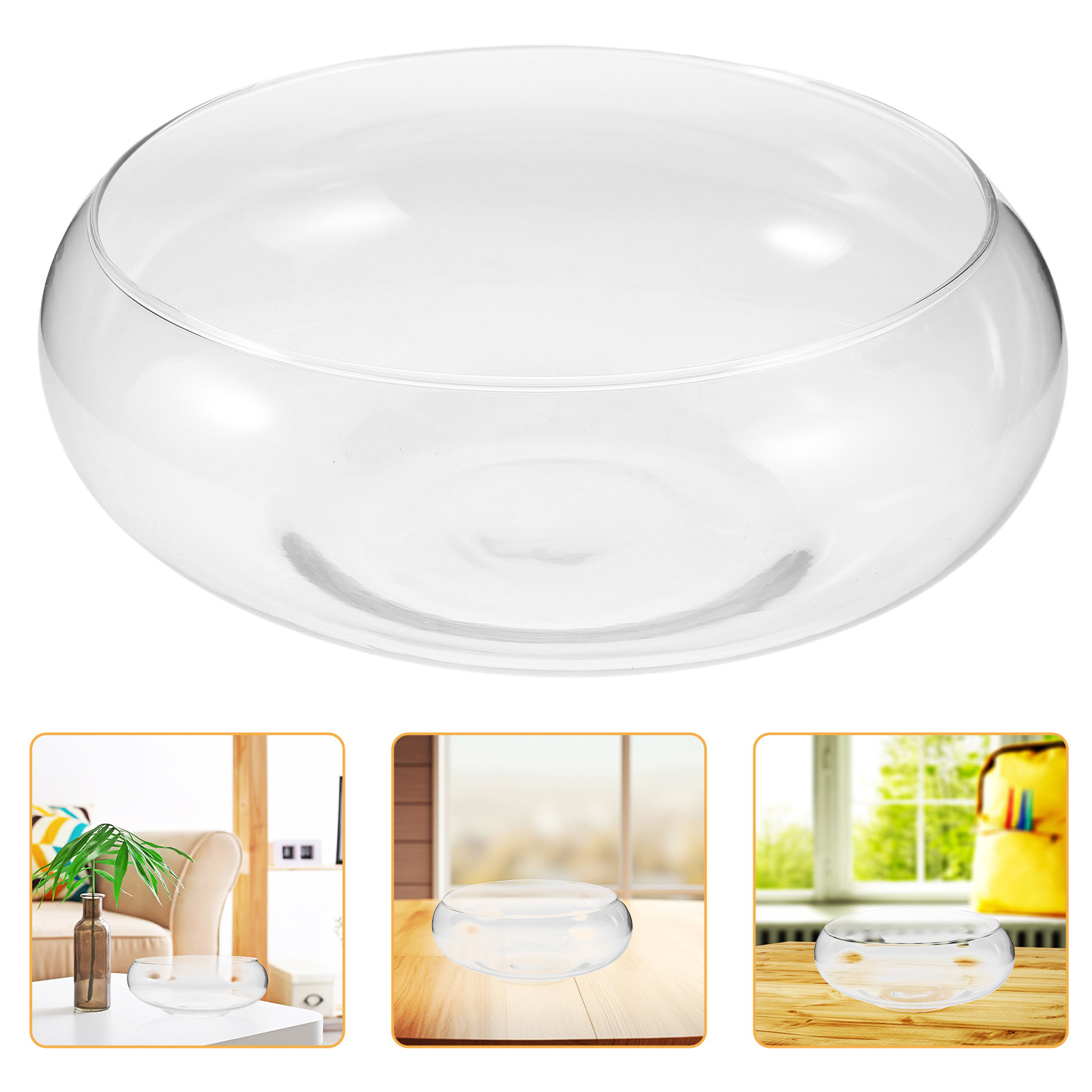 Vaso de vidro para cultivo hid - Aquarium Plants avaliação e preço