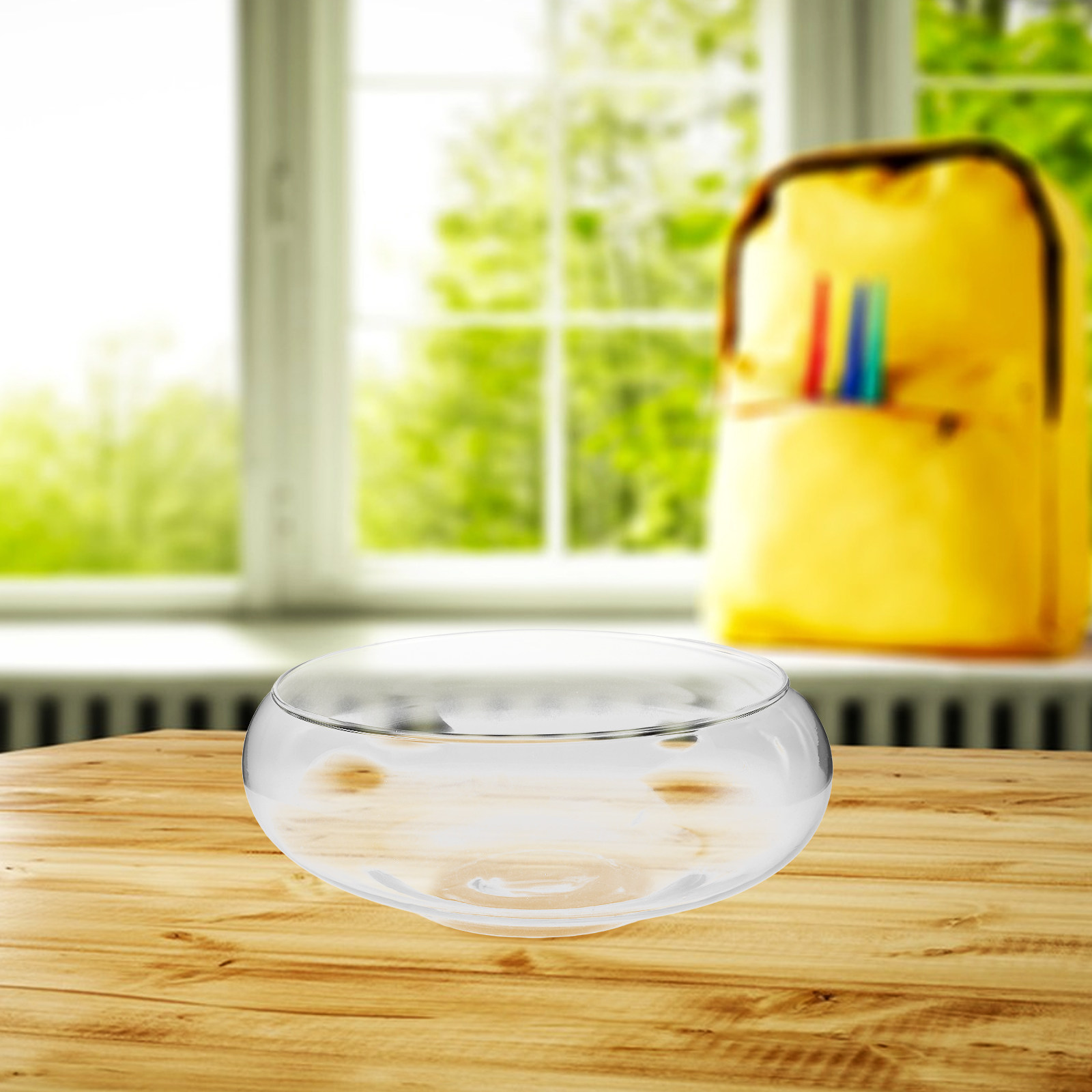Vaso de vidro para cultivo hid - Aquarium Plants avaliação e preço